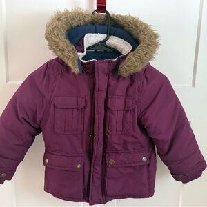 Carter's Classic Jacket - Purple and Blue